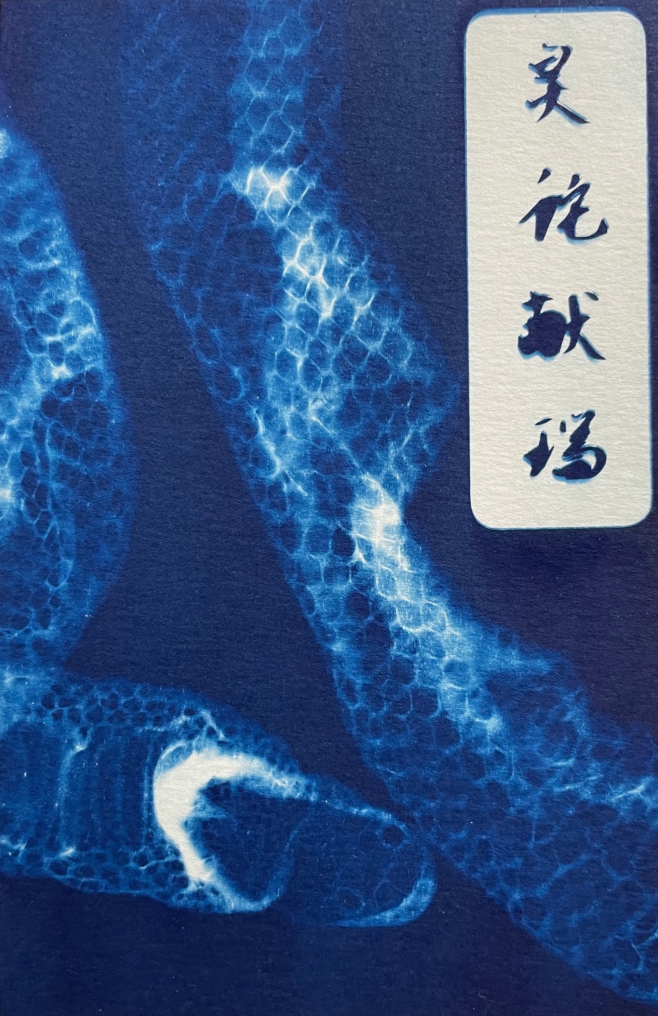 LNY cyanotype