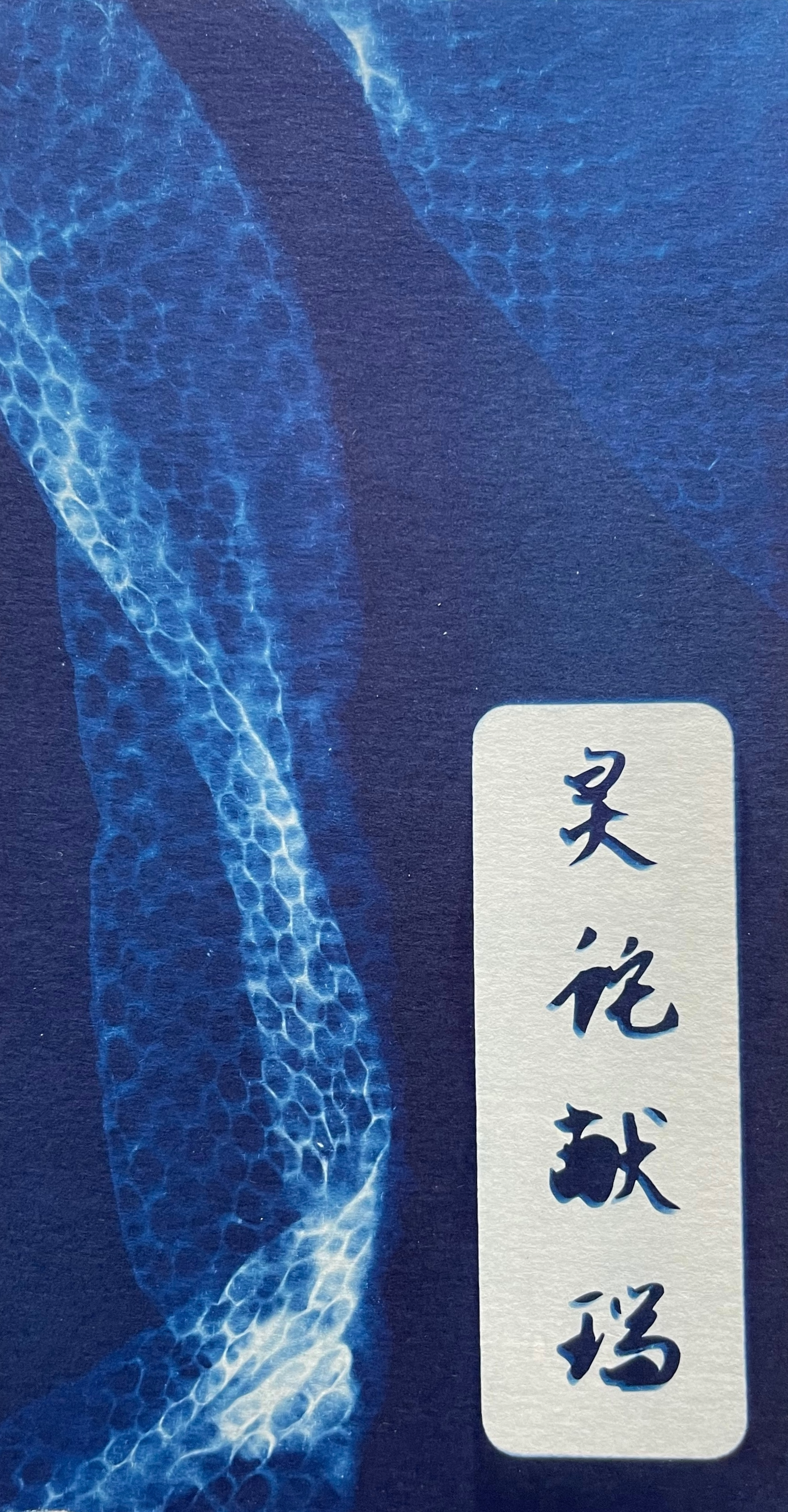 LNY cyanotype